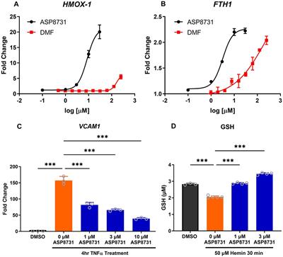 The BACH1 inhibitor ASP8731 inhibits inflammation and vaso-occlusion and induces fetal hemoglobin in sickle cell disease